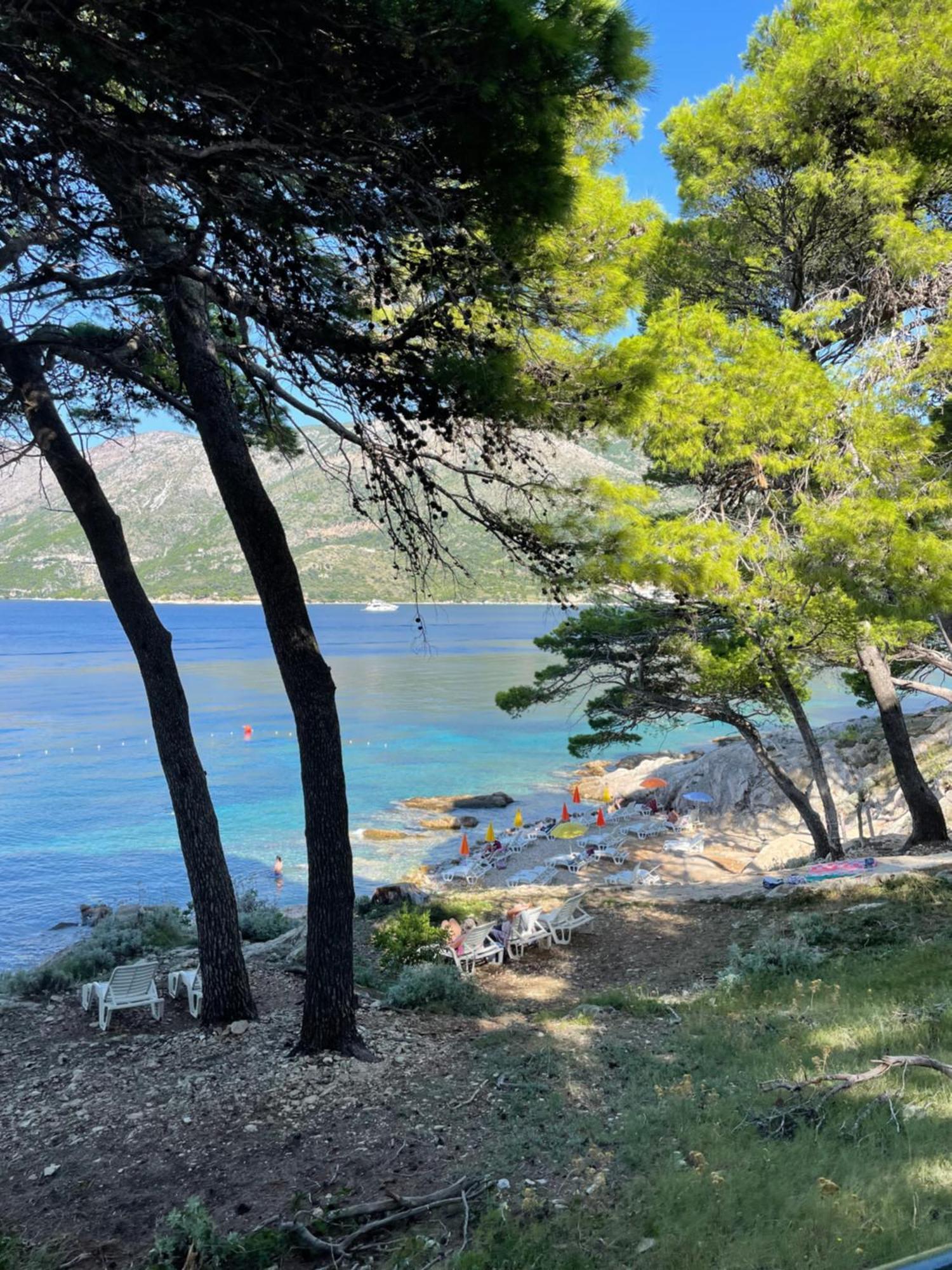 Family Ambient Apartment Cavtat Esterno foto